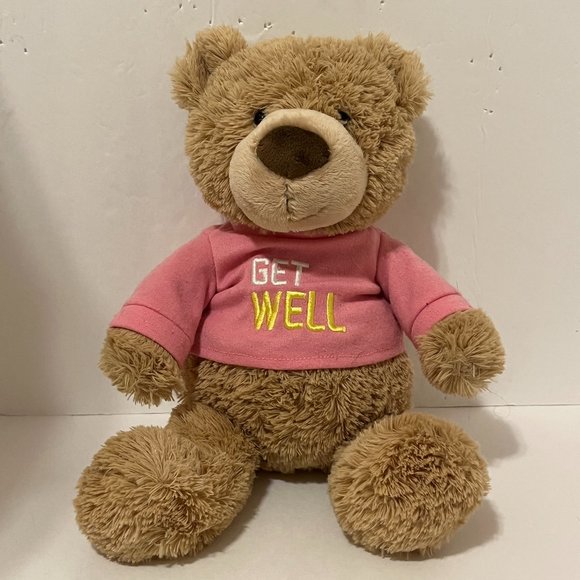 Gund Toys Gund Get Well Stuffed Animal Plush Teddy Bear Pink Rose Brown Poshmark